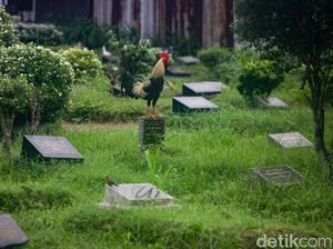 13 TPU di Depok Bebas Biaya Pemakaman