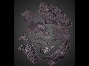Fosil Kulit Tertua Ditemukan, Lebih Tua dari Mbahnya Dinosaurus Fosil Kulit Tertua Ditemukan, Lebih Tua dari Mbahnya Dinosaurus