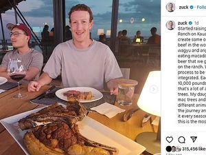 Mark Zuckerberg Bangun Peternakan Sapi Wagyu Senilai Rp 4,2 T Mark Zuckerberg Bangun Peternakan Sapi Wagyu Senilai Rp 4,2 T