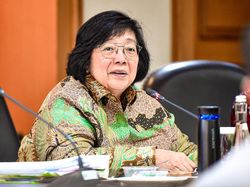 5 Harimau Mati, Menteri LHK: Medan Zoo Dibina, Jangan Apa-apa Disanksi