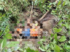 Wanita Ditemukan Membusuk di Hutan, Kepala Tinggal Tengkorak Wanita Ditemukan Membusuk di Hutan, Kepala Tinggal Tengkorak