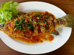 Resep Kerapu Goreng Saus Cabe yang Renyah Pedas, Lauk Spesial Akhir Pekan