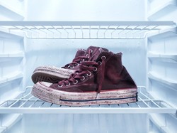 Suka Mengeringkan Sepatu di Belakang Kulkas? Coba Cara Ini, Lebih Praktis dan Aman