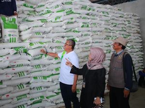 Pusri Pastikan Stok Pupuk Bersubsidi Aman Masuk Musim Tanam 2025