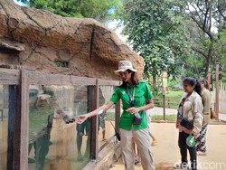 Klaudia Makin Tenar, eh Ada yang Cemburu