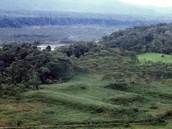 Kota Kuno Berusia 2.500 Tahun Ditemukan di Hutan Amazon