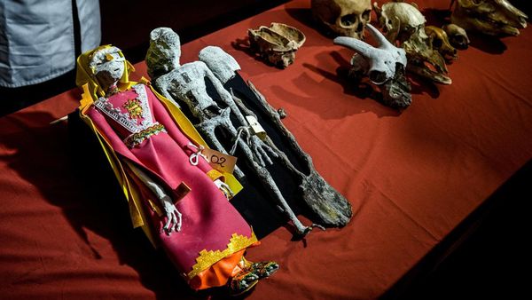 Penampakan Mumi Alien yang Ternyata Hasil Rekayasa Manusia