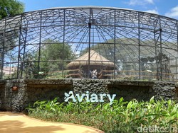 Solo Safari Kini Punya Kandang Burung Terbesar Se-Jateng