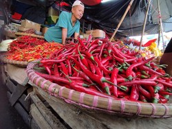 Harga Cabai di Palembang Turun Drastis, Bawang Fluktuatif