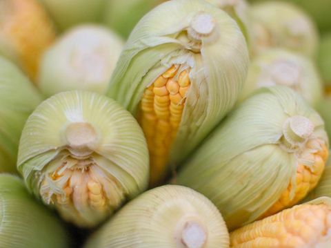 Jagung/Foto: pexels.com/Rodolfo Clix