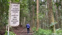 TN Gunung Gede Pangrango Tutup Pendakian, Fokus Bereskan Sampah!