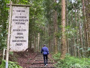 TN Gunung Gede Pangrango Tutup Pendakian, Fokus Bereskan Sampah! TN Gunung Gede Pangrango Tutup Pendakian, Fokus Bereskan Sampah!