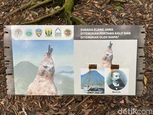 Kisah Keluarga Bartels, Penemu Elang Jawa di Sukabumi