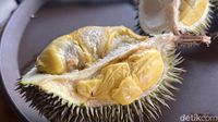 Serunya Keliling Kebun Durian hingga Cicip Durian Premium D24 di Depok