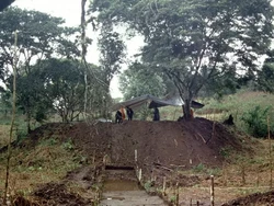 Ada Kota Kuno yang Besar di Amazon!