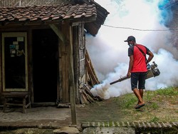 Dinkes Gunungkidul Catat 220 Kasus DBD Sejak 2024, 2 di Antaranya Meninggal