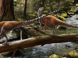 Dinosaurus Herbivora Baru Telah Ditemukan, Berbulu dan Kaki Mirip Burung