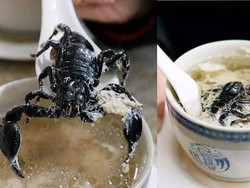 Ekstrem! 5 Makanan Enak dan Populer Ini Pakai Topping Kalajengking