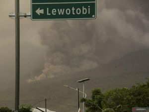 Bandara Wunopito Ditutup Sementara Imbas Erupsi Gunung Lewotobi Laki-laki Bandara Wunopito Ditutup Sementara Imbas Erupsi Gunung Lewotobi Laki-laki