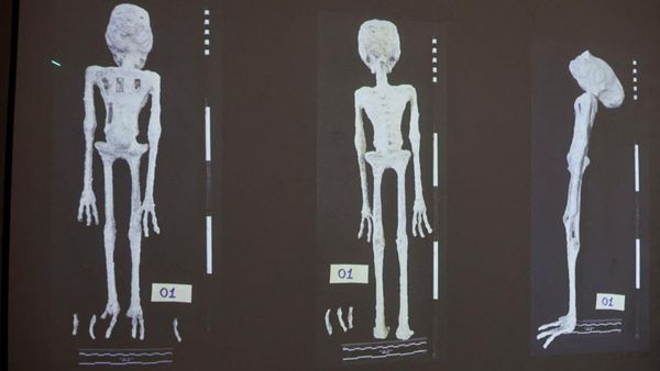 Palsu! Temuan Mumi Alien di Peru Hasil Rekayasa Manusia