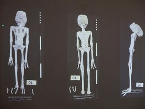 Misteri Mumi Alien Lagi-lagi Bikin Heboh usai Ditemukan Dua Jasad Baru di Peru Misteri Mumi Alien Lagi-lagi Bikin Heboh usai Ditemukan Dua Jasad Baru di Peru