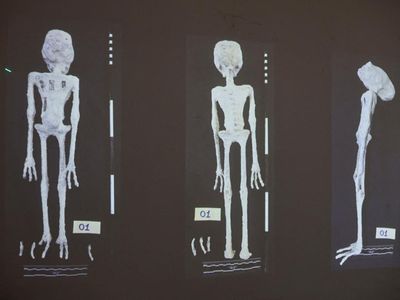 Palsu! Temuan Mumi Alien di Peru Hasil Rekayasa Manusia