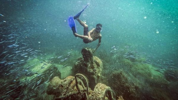 Pesona Wisata Bawah Air Pulau Cubagua yang Indahnya Kebangetan