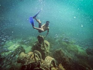 Pesona Wisata Bawah Air Pulau Cubagua yang Indahnya Kebangetan Pesona Wisata Bawah Air Pulau Cubagua yang Indahnya Kebangetan