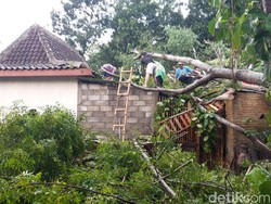 Brukk! Rumah Sugiyanti di Boyolali Tertimpa 4 Pohon Sekaligus