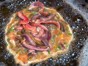 Geli Enak! 5 Makanan Populer di Manca Negara Ini Diolah dari Cacing Geli Enak! 5 Makanan Populer di Manca Negara Ini Diolah dari Cacing