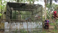 Calon Investor yang Lihat Potensi Bisnis dari Medan Zoo