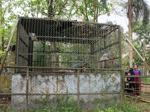 Bisa-bisanya Pengelolaan Hewan di Medan Zoo Kacau dan Diabaikan Begitu Lama Bisa-bisanya Pengelolaan Hewan di Medan Zoo Kacau dan Diabaikan Begitu Lama