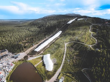 Petaka Data Center Google di Finlandia: Hutan Hancur, Serigala Masuk Desa - Infolitik