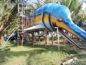 Nasib Ikan Marlin Seharga Rp1,8 Miliar yang  Setahun Terdampar