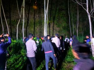Kakek di Klaten Terjun ke Jurang, Selamat karena Nyangkut di Pohon Kakek di Klaten Terjun ke Jurang, Selamat karena Nyangkut di Pohon