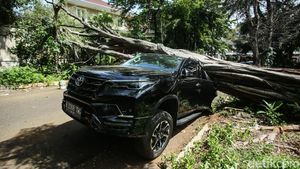 Bruukk.. Pohon Tumbang Timpa Mobil Fortuner di Jaksel