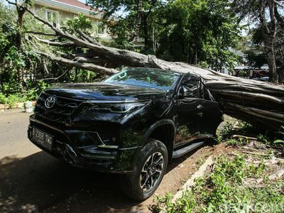 Bruukk.. Pohon Tumbang Timpa Mobil Fortuner di Jaksel