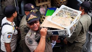 Satpol PP Denpasar Tertibkan Pedagang di Atas Trotoar