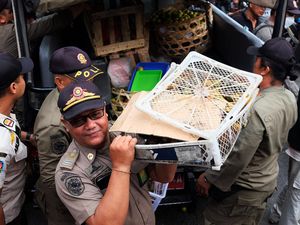 Satpol PP Denpasar Tertibkan Pedagang di Atas Trotoar