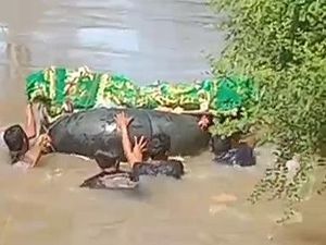 Cerita Warga Lampung Antar Jenazah Seberangi Sungai Meski Tak Bisa Renang Cerita Warga Lampung Antar Jenazah Seberangi Sungai Meski Tak Bisa Renang