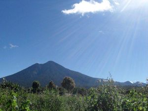 12 Objek Wisata Merangin, Ada Fosil Kayu yang Lebih Tua dari Sumatera Lho!