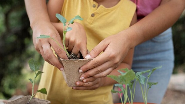 Ilustrasi/Foto: Freepik.com Cara orangtua di Jepang dalam menjaga kesehatan anak-anaknya