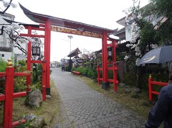 Kota Batu Kini Punya Kampung Sakura, Serunya Serasa Berwisata ke Jepang