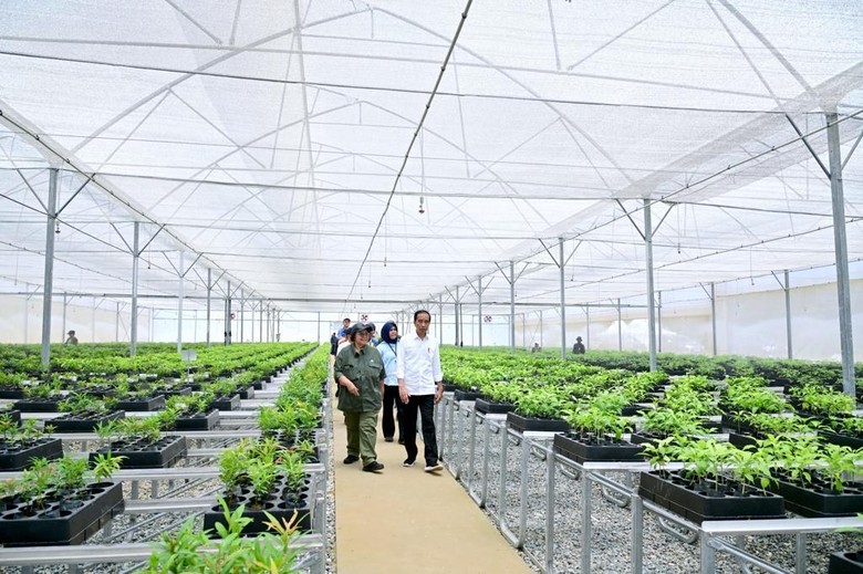 Jurus KLHK Kendalikan Deforestasi dan Karhutla di Indonesia