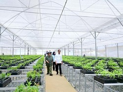 Jurus KLHK Kendalikan Deforestasi dan Karhutla di Indonesia