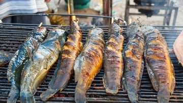 Baik atau Buruk? Ini 7 Manfaat dan Efek Samping Makan Lele