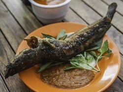 7 Dampak Makan Ikan Lele, Jantung yang Sehat hingga Risiko Radang Usus