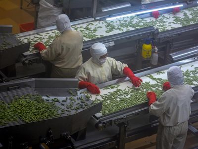 Mantul! Kedelai Edamame Asal Jember Tembus Pasar Luar Negeri
