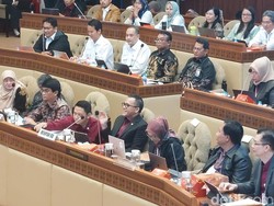 MenPAN-RB Lapor 249.930 Honorer Lulus CASN 2023, Masih Ada PR 1,7 Juta Lagi