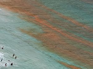 Ngeri! Warna Air Pantai Ini Mendadak Berwarna Merah Ngeri! Warna Air Pantai Ini Mendadak Berwarna Merah